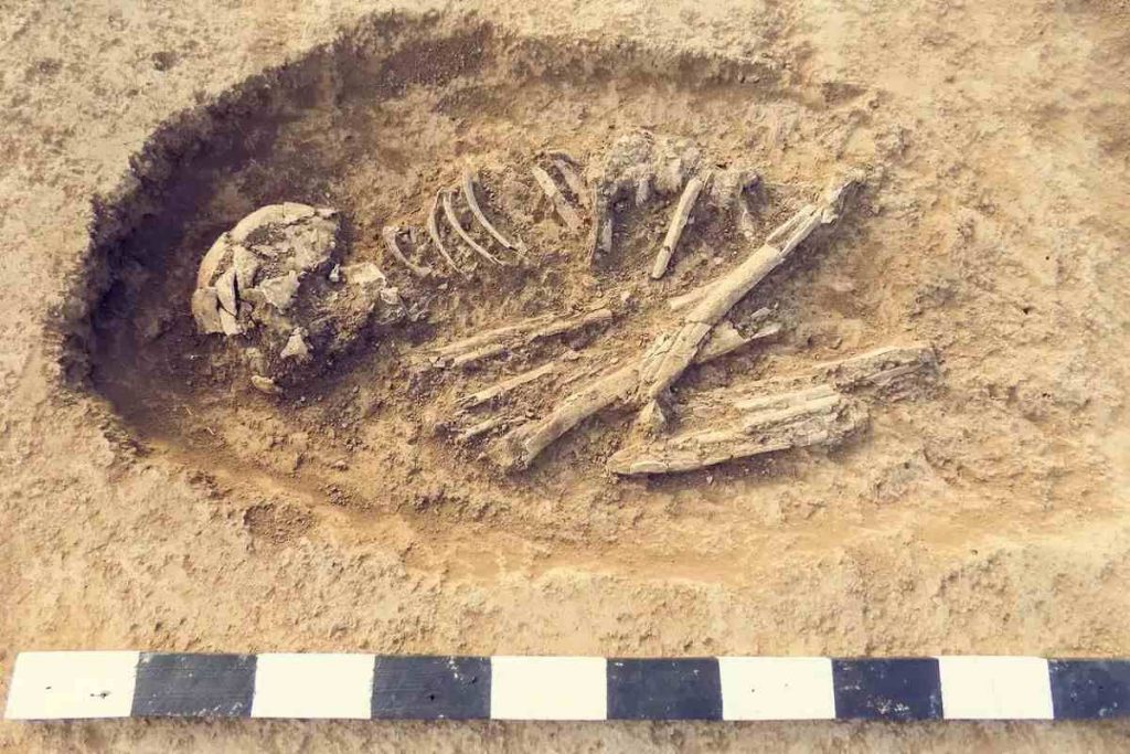 Shocking Revelations in Japan The Oldest Human Fossils