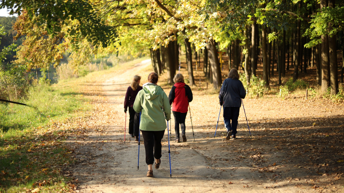 Faites le plein de bien-être avec le Nordic Yoga, l'alliance de la marche et du yoga !