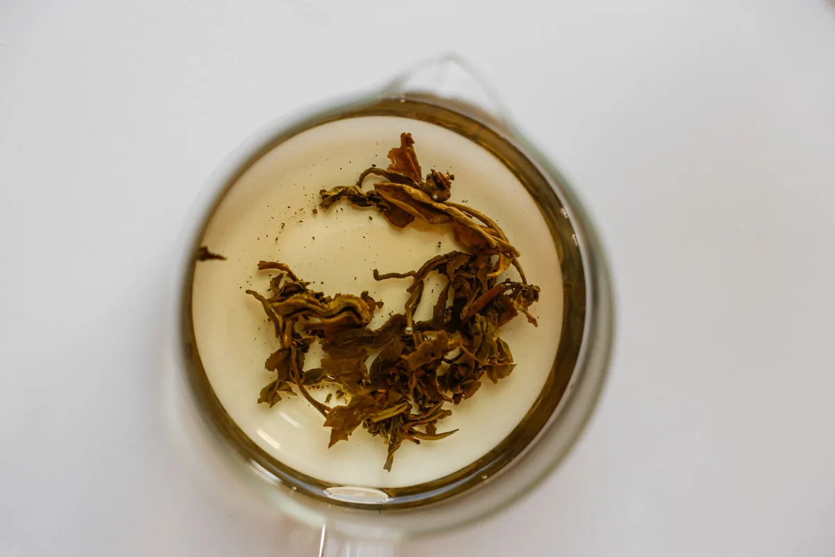 Black tea bags steeping in hot water for antiperspirant treatment